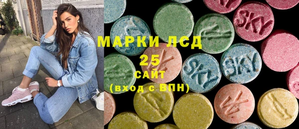 ГАЛЛЮЦИНОГЕННЫЕ ГРИБЫ Белокуриха