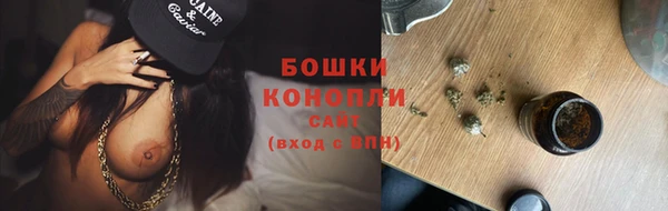 ГАЛЛЮЦИНОГЕННЫЕ ГРИБЫ Белокуриха