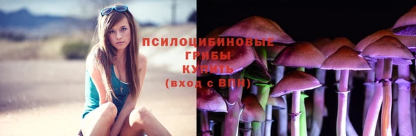 ГАЛЛЮЦИНОГЕННЫЕ ГРИБЫ Белокуриха