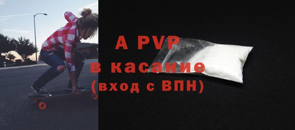 ГАЛЛЮЦИНОГЕННЫЕ ГРИБЫ Белокуриха