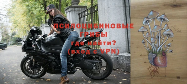 PSILOCYBIN Беломорск
