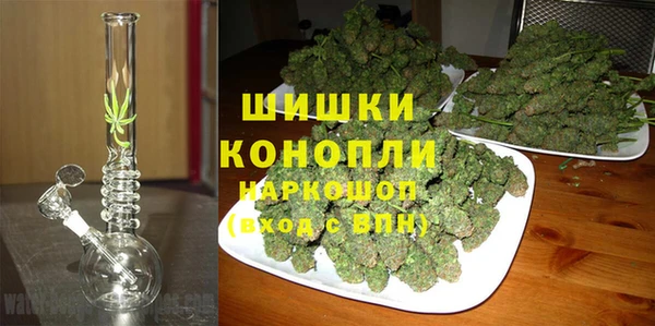 ГАЛЛЮЦИНОГЕННЫЕ ГРИБЫ Белокуриха