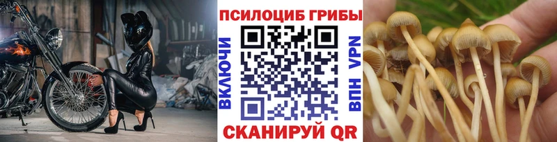 МЕГА сайт  Энем  Галлюциногенные грибы Psilocybine cubensis  где купить  