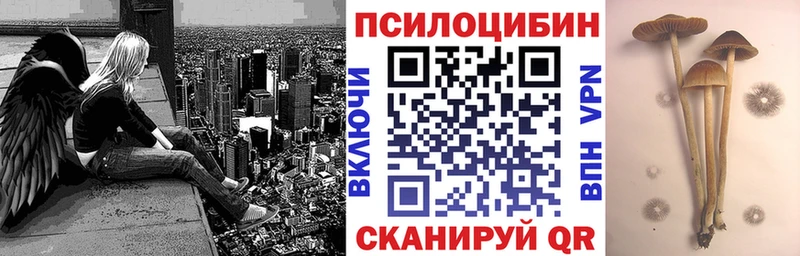 Галлюциногенные грибы Psilocybe Энем